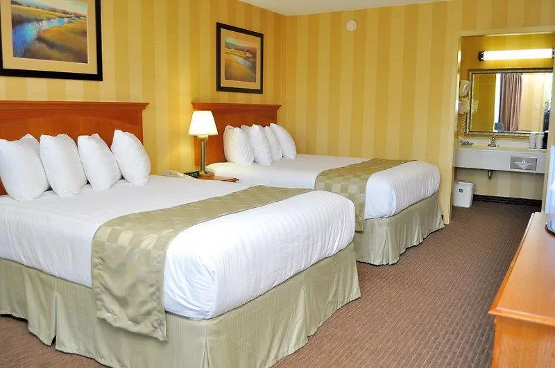 Best Western Central Plaza-1