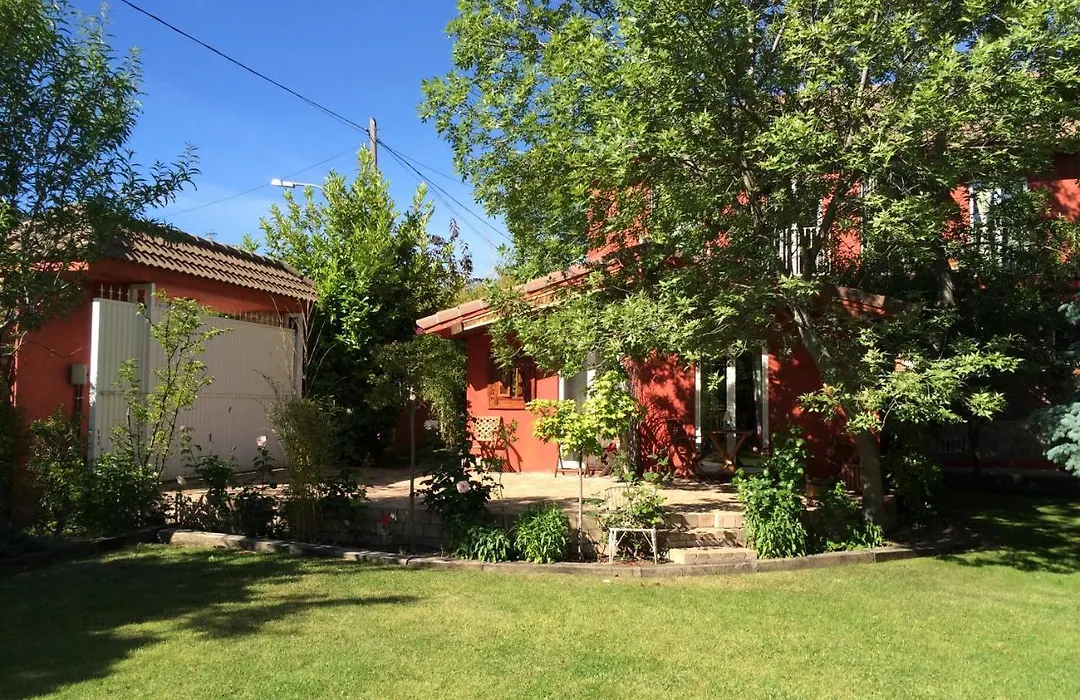 B&B Concha-1