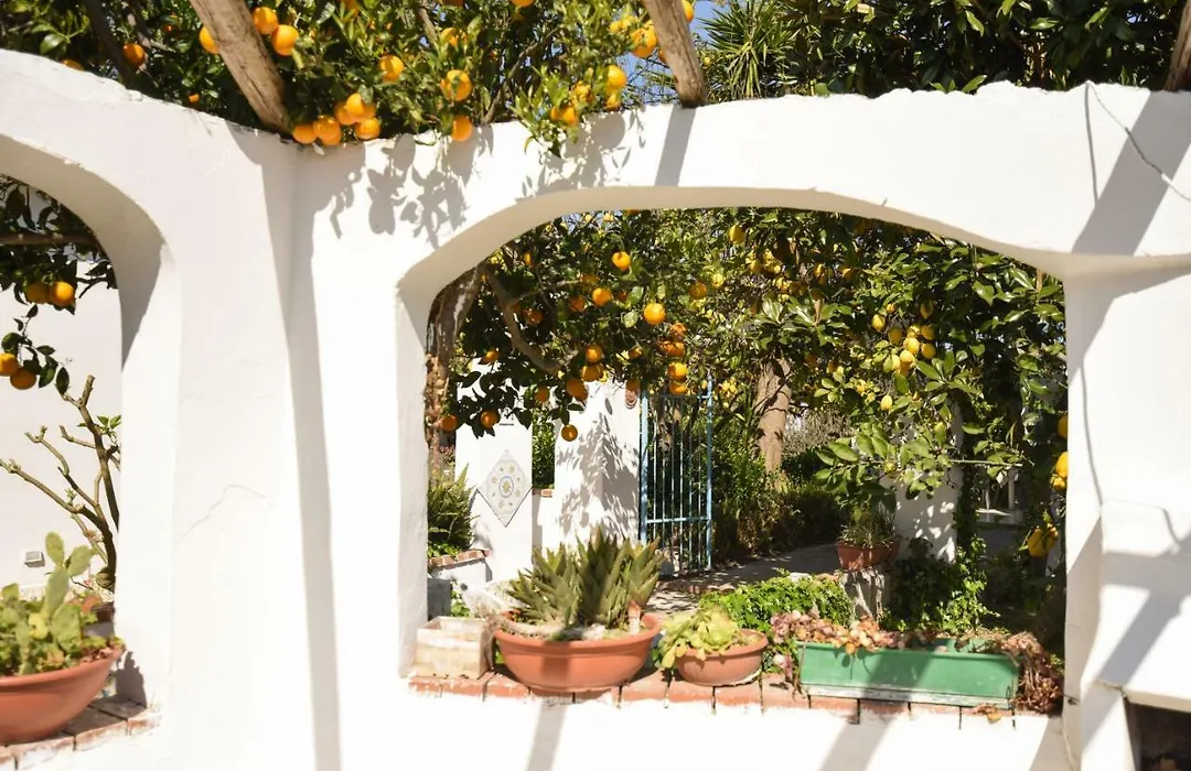 Le Querce-1