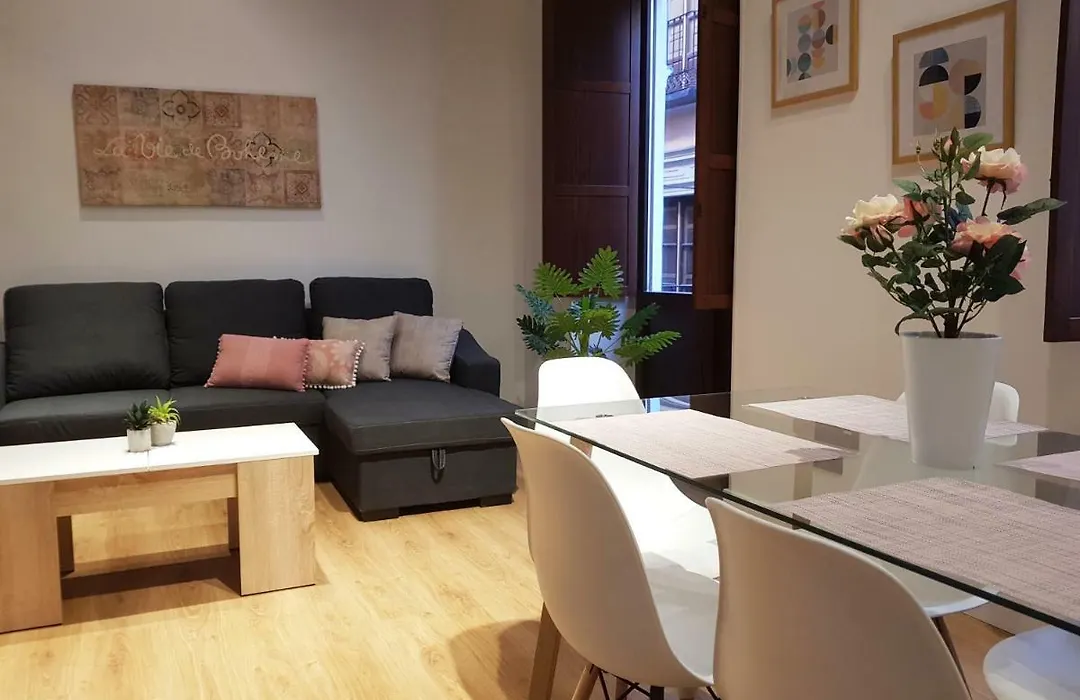 Apartamentos Granada Deluxe 3000-1