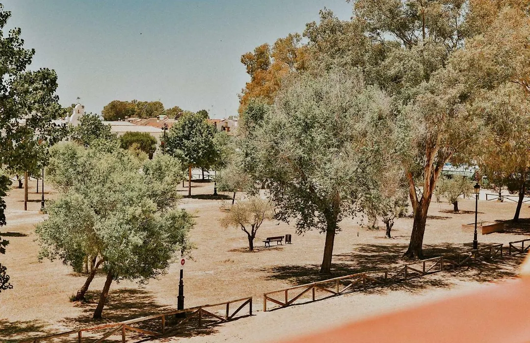 Casa Rural Doñana 51-1
