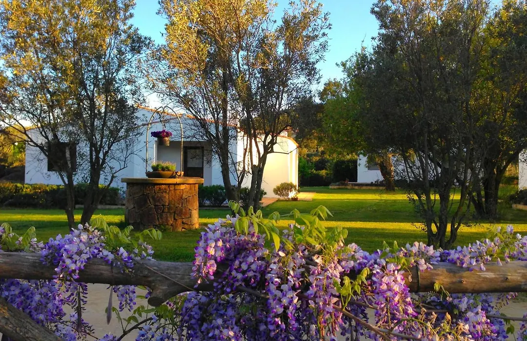 Agriturismo Li Scopi-1