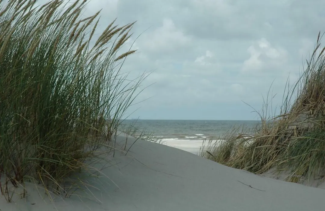 Wadzand-1