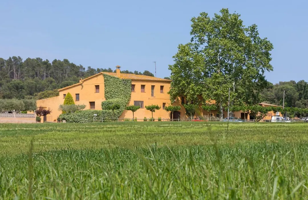 Turisme Rural Ca L,Anguila-1
