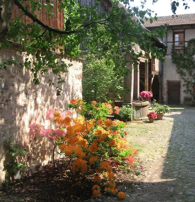 Les Hortensias-1