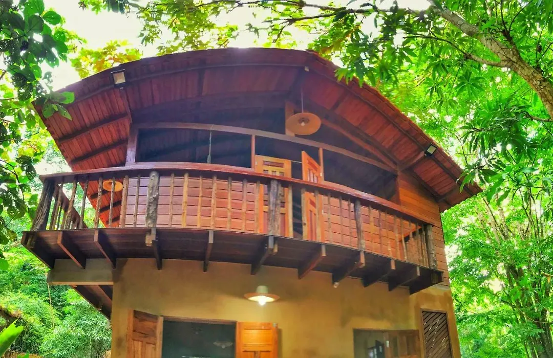 CASA DA ARVORE, sonho na Amazônia, 2min a pé da praia-1