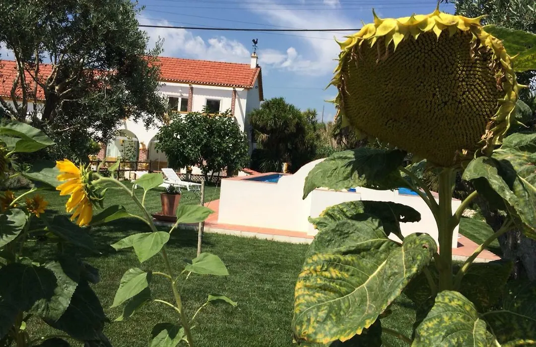 Quinta Ribeira Do Labrador - Lisbon West Wine Route-1