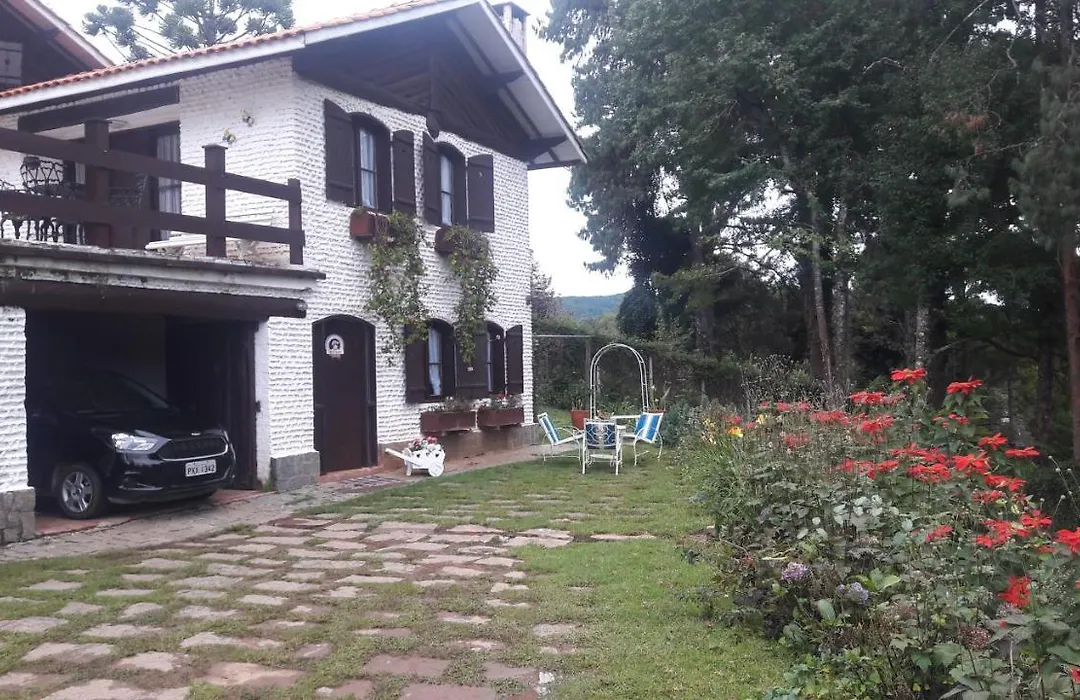 Chalé pinheiro velho-1