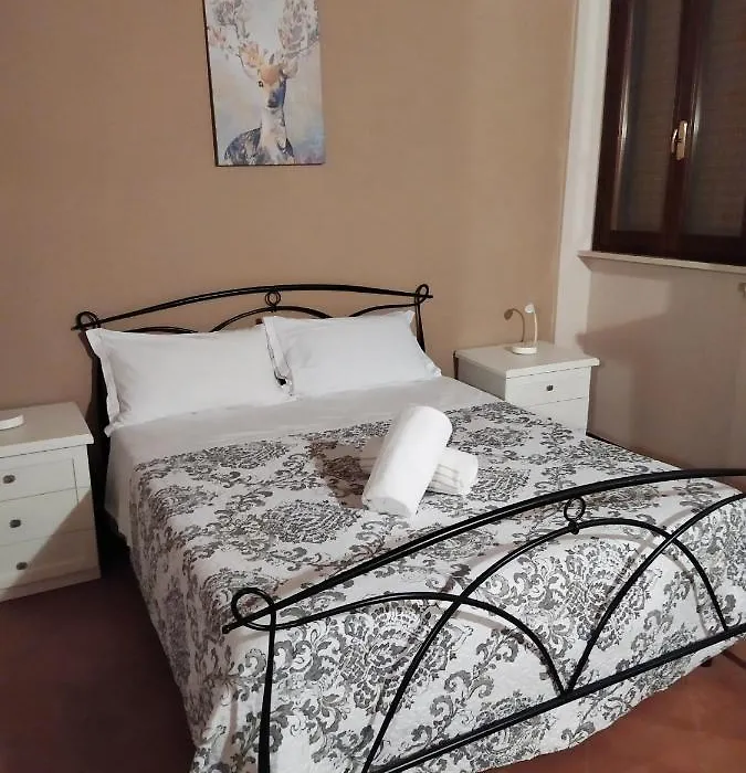 Carducci 49-1