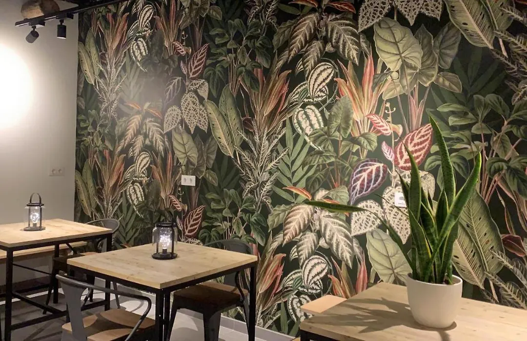Vtz The Botanic Hostel-1