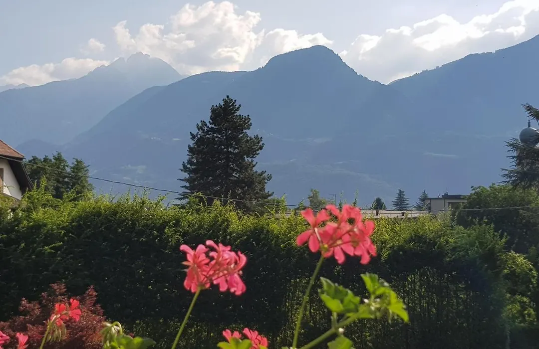 Pension Gartscheid-1