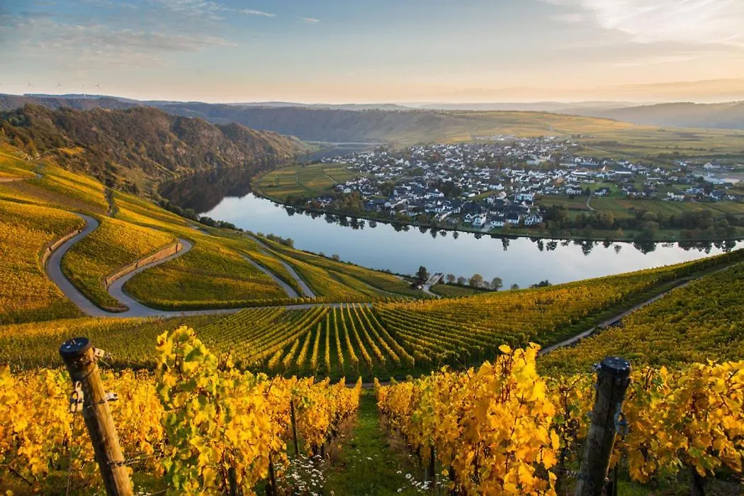 Hotel- Weingut- Moselloreley-1