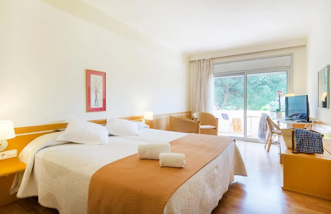 Hotel Ancora-1