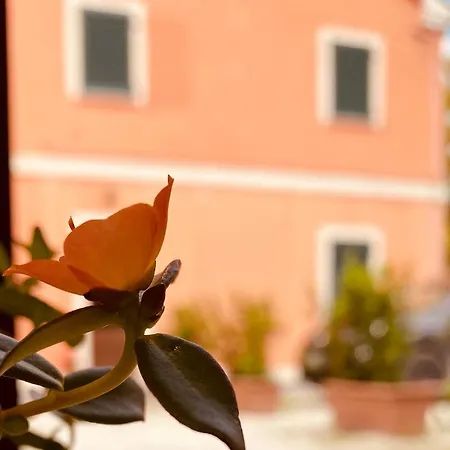 Agriturismo Rossococomero colazione inclusa e Offerta PROMO LUGLIO!-2