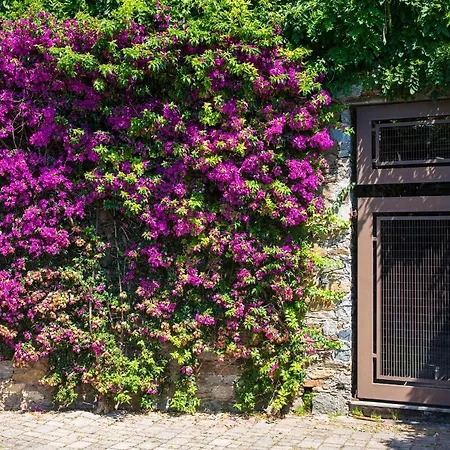 B&B Renalù-2