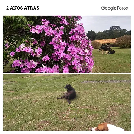 Chácara Quedinha D'Água-3