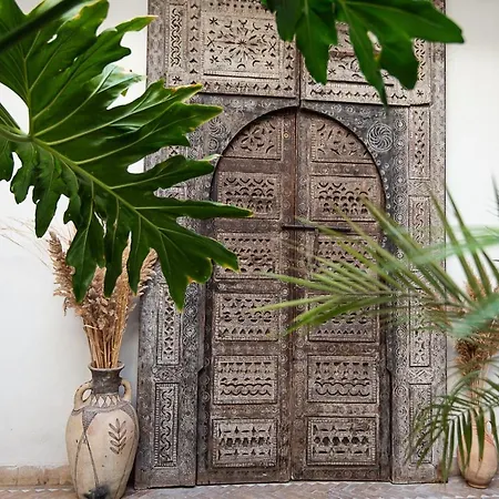 Riad Farhan-2