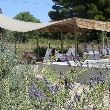 Domaine De Manteau-Bleu-2