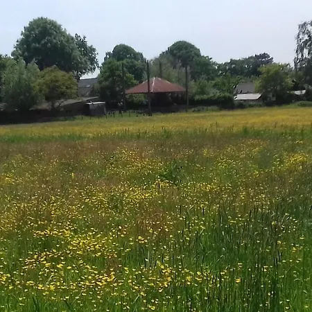 Ecolodge de Parel Schoorl-2