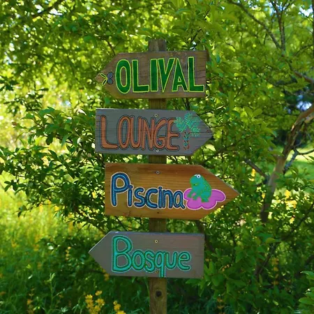Casa Das Palmeiras-Pedagogic Farm-2