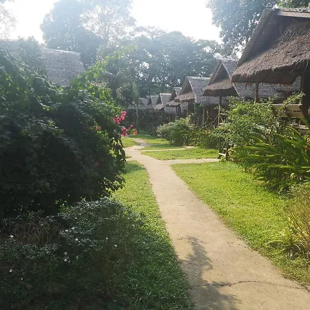 Jungle Garden-3