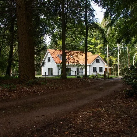 Villa Woudstee-3