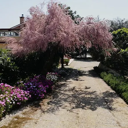 Casa Noemi-3