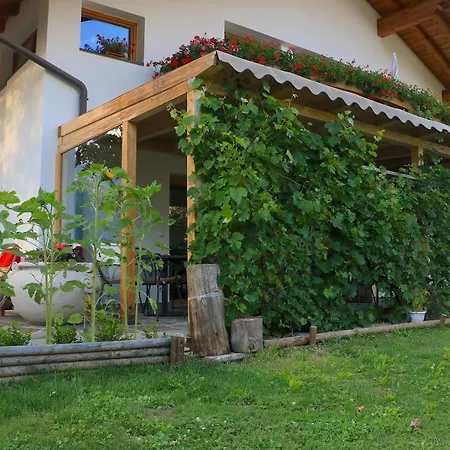 B&B Fruehlingsheim-3