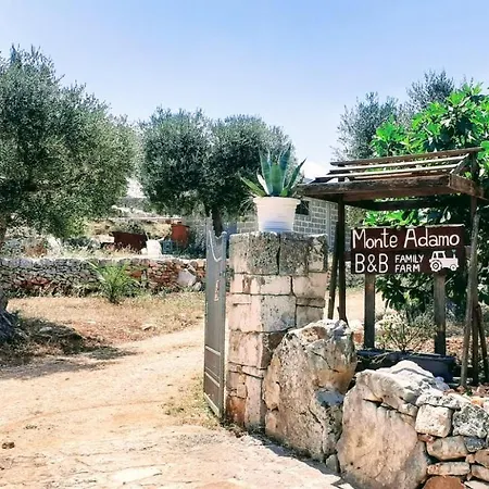 B & B Monte Adamo-3