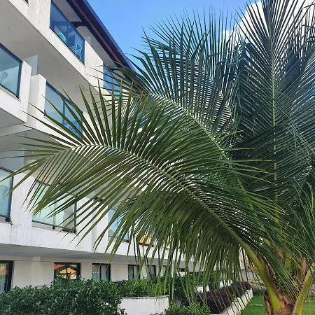 Laguna Beach Flat Gv-2