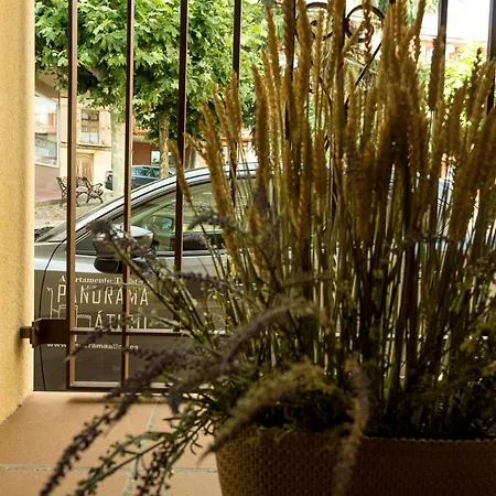 Panorama Suite-3