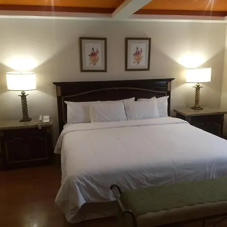 Rose Hotel-3