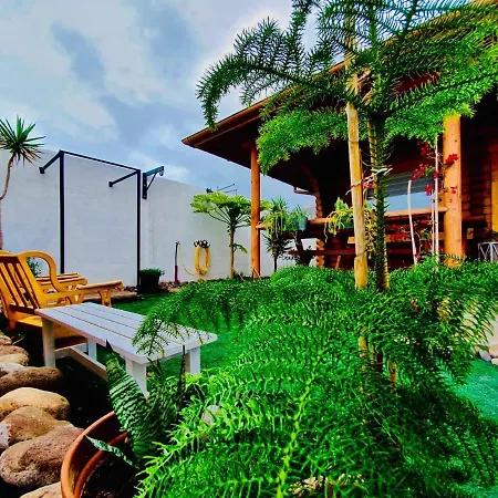 Wild House-2