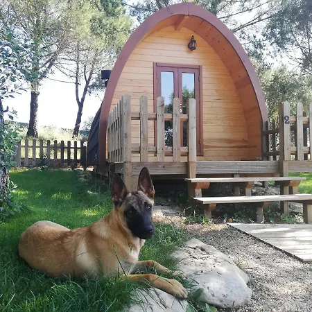 Glamping Sintra-3