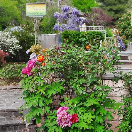Fiori del Conero-3
