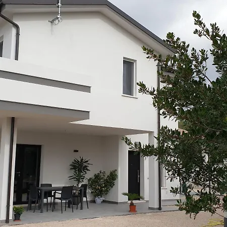 B&B Juniperus-3