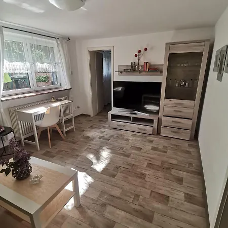 Ferienwohnung Ostrau-3