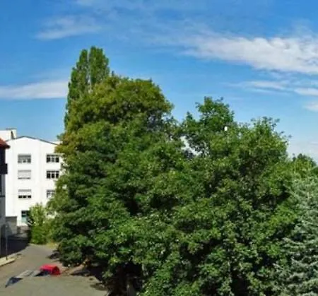 Villa Eschebach - Ferienwohnung-3