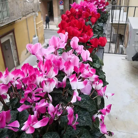 Palazzo Gioffrè-3