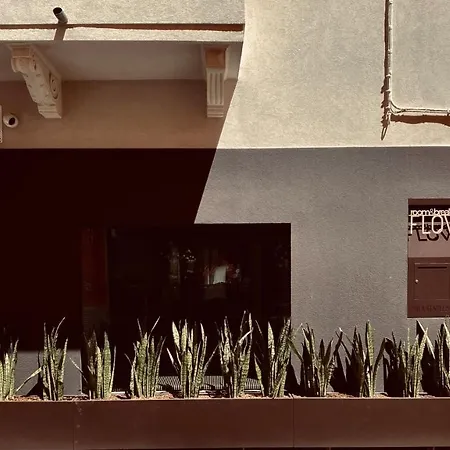 Flow B&B-3