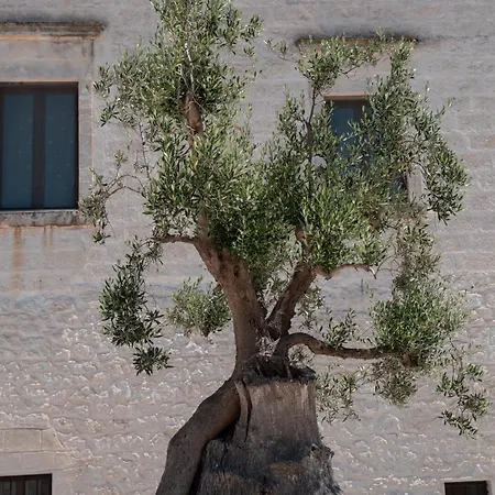 Masseria Donna Nina-3