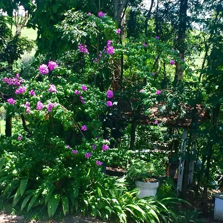 Hotel Fazenda Colina-3