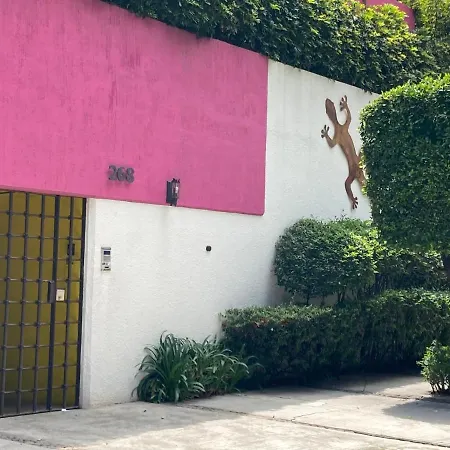 Hostal Cuija Coyoacan Berlin 268 Coyoacan-2