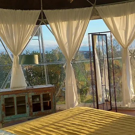 Glamping Skies - Adults Only-2