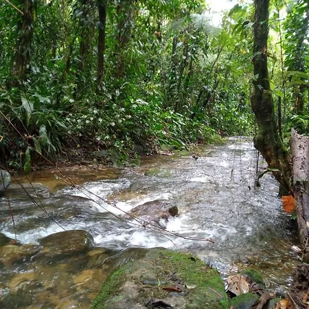 Serra e Mar-2