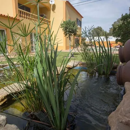 Casa Da Falfeira B&B-3