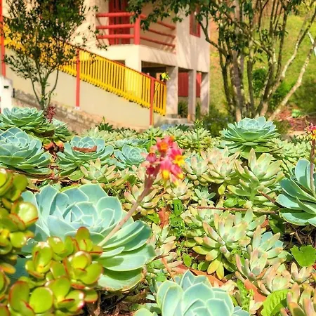 Sitio dos Palmitos - Casa Pupunha-2