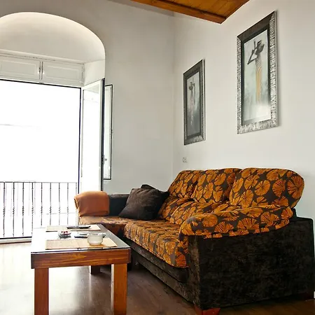 Apartamentos La Casa de la Alameda-3