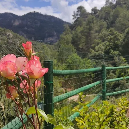 Mas De Rogelio-2