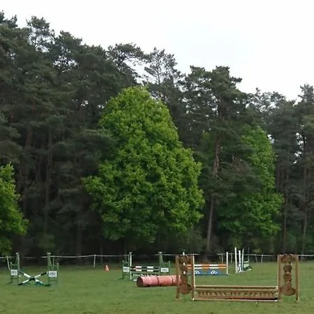 Aktivstall Soltau-2